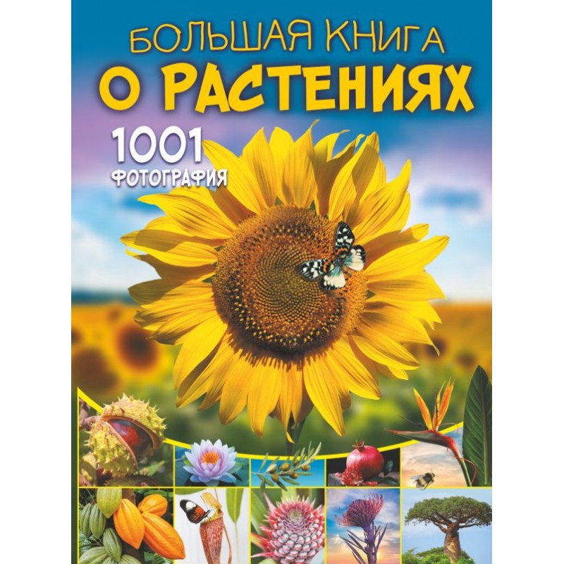 Большая книга о растениях. 1001 фотография. Медведев Д.Ю., Спектор А.А.»: купить в книжном магазине «День». Телефон +7 (499) 350-17-79